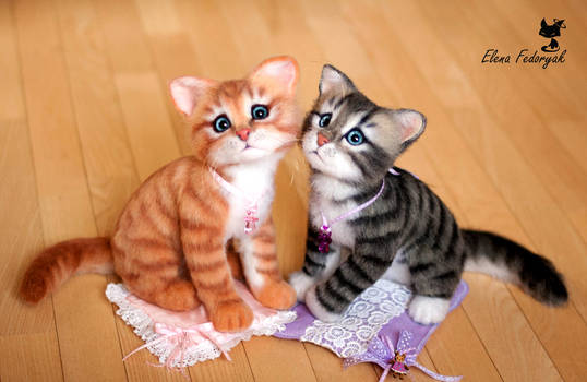 two kittens