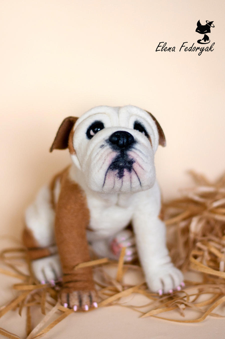 English bulldog puppy