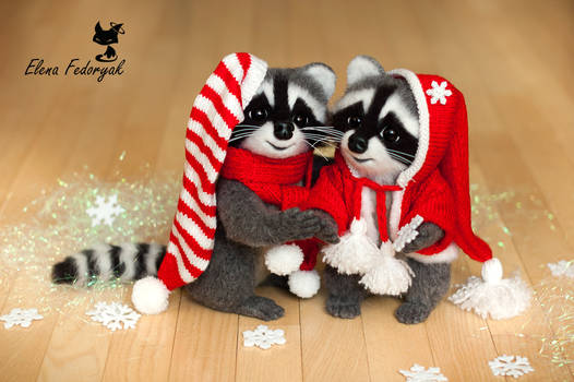 New year Raccoons