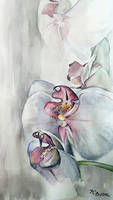 Orchids. Watercolor. Paper