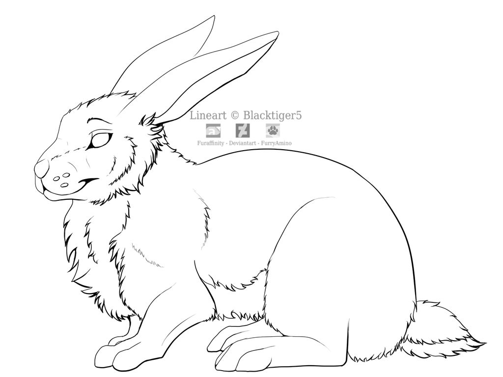 Free Rabbit Line Art by Blacktiger5 on DeviantArt