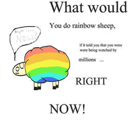 Rainbow Sheep XD