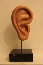 Ear in wood