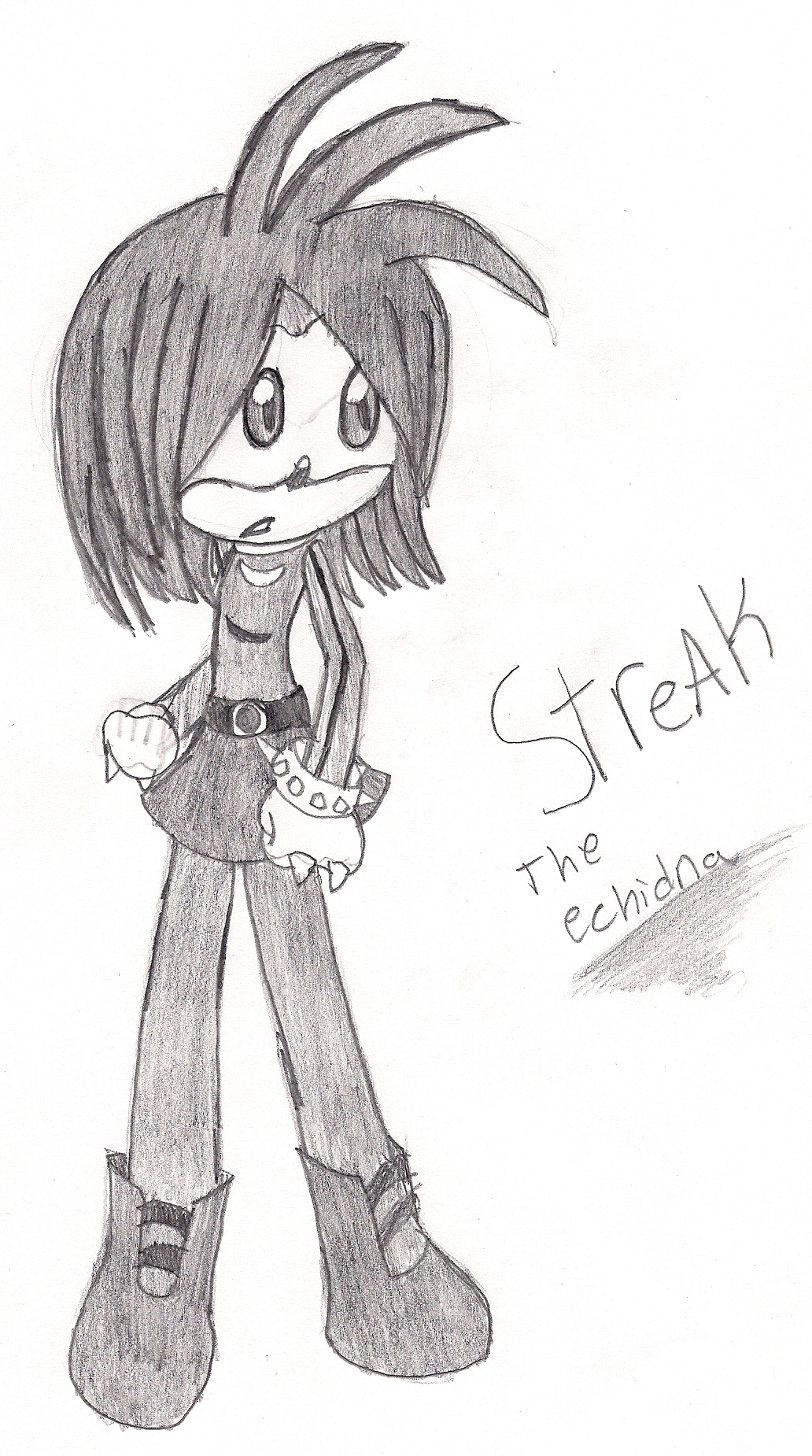 Streak the echidna