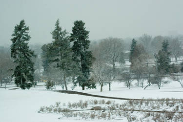 Snowy Park 3