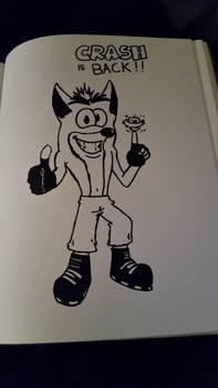 Crash Bandicoot Sharpie doodle