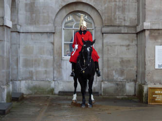 Horse Guard