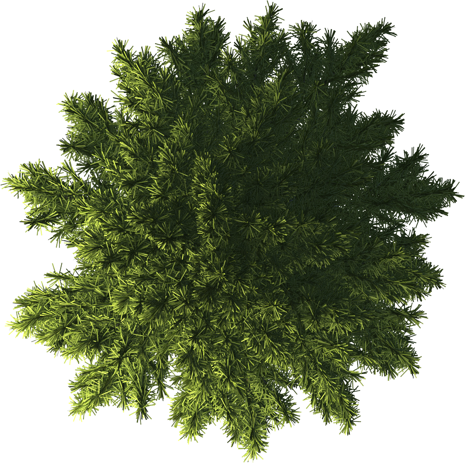 Top Tree Shape Top tree 4 by Jaro313 on DeviantArt