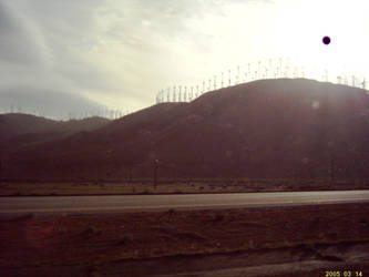 Windmill scape