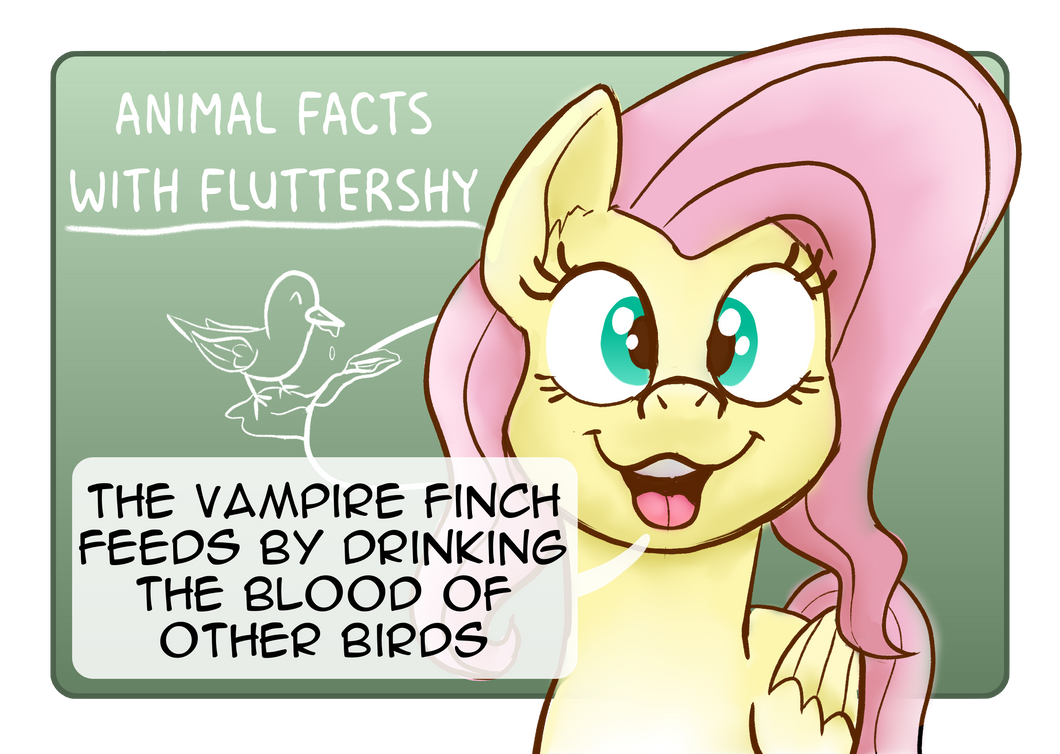 animal_facts_with_fluttershy_by_doodledonutart_dfjnozu-pre.png