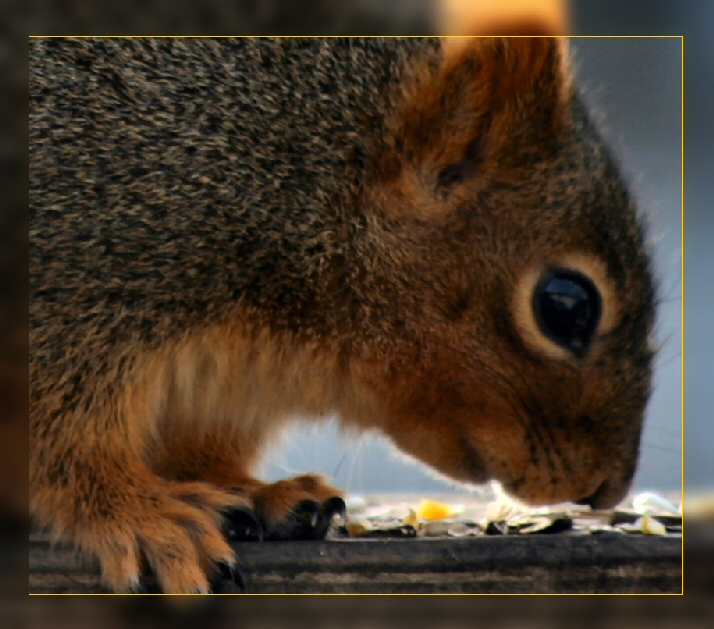 Feeding His Face