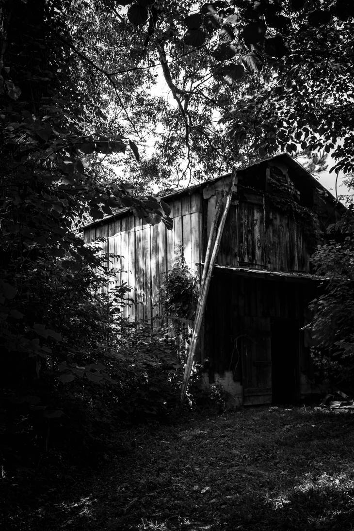 4 Of 365 By MaxRamsey On DeviantArt 4-of-365-by-maxramsey-on-deviantart