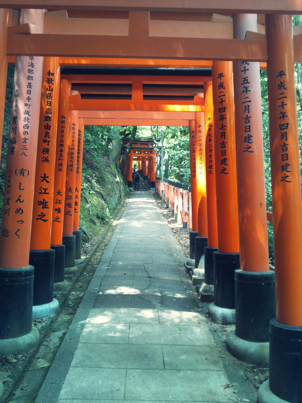 Fushimi Inari Taisha (kyoto-Japan)