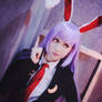 Reisen Udongein Inaba