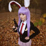 Reisen Udongein Inaba