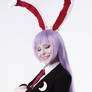 Reisen in White room