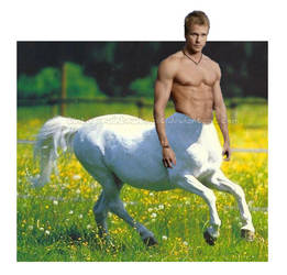 Centaur of the Fields