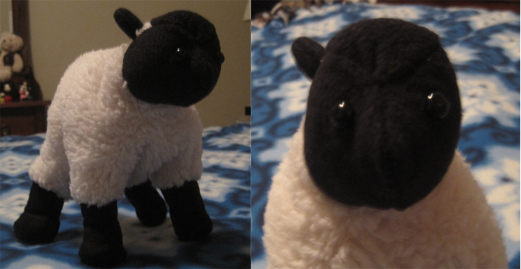 Fluffy Little Sheep