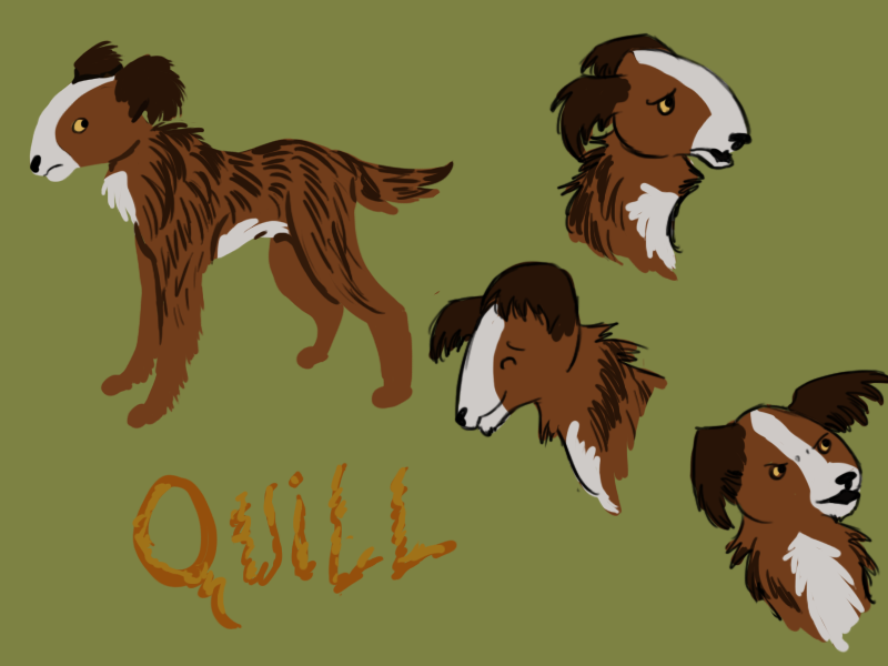 Quill