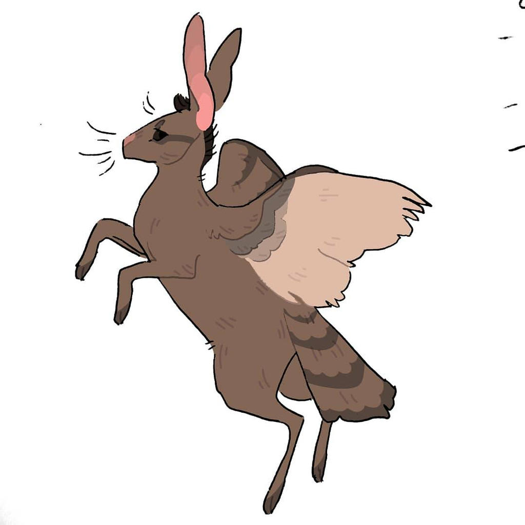 Skvader Rabbit Skvader by MrGaryStu on DeviantArt