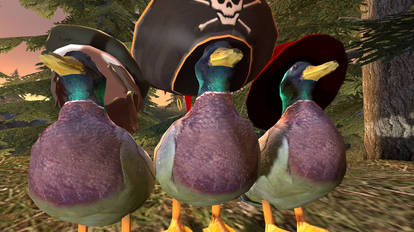 the 3 duck