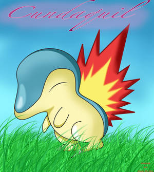 Cyndaquil