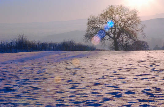 snow with backlight halo