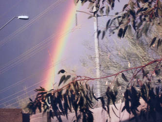 Rainbow