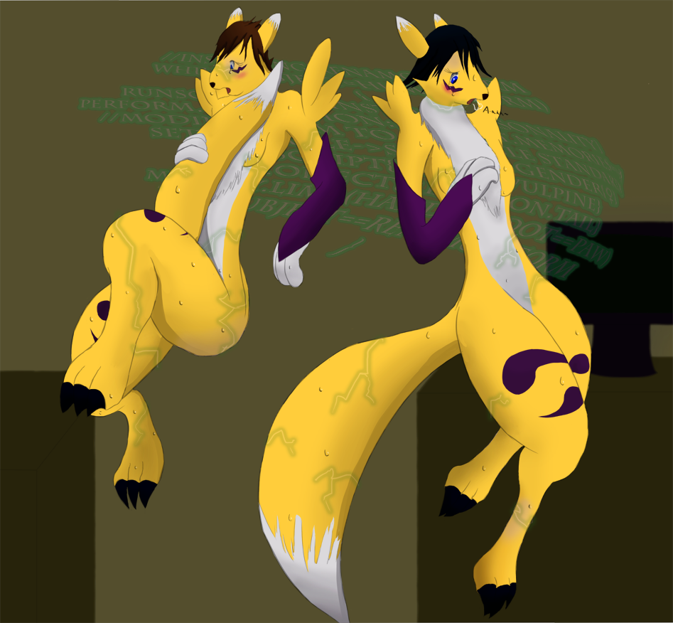 Renamon Reprogramming