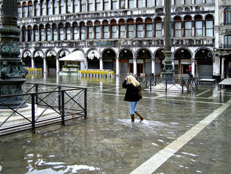 Fording in San Marco Square