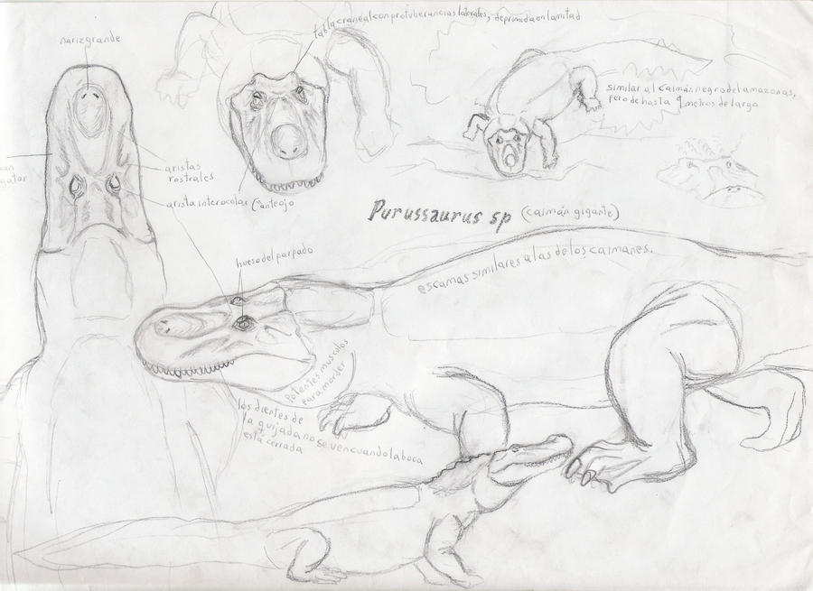 Purussaurus sketch (2006?)