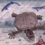 Giant softshell from Pakistan, colored (2014).