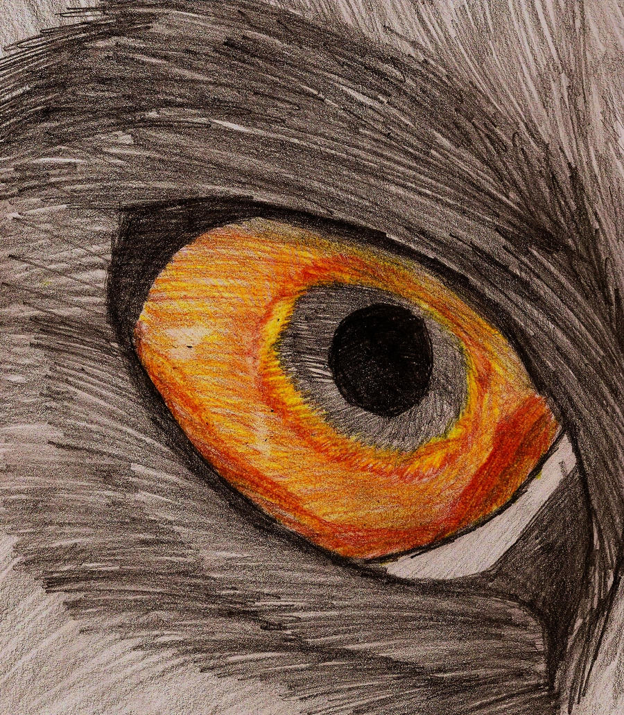 Wolf's Eye