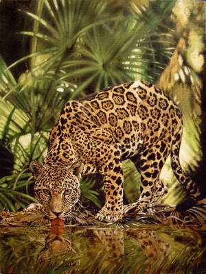 Jaguar by Animal75Artist