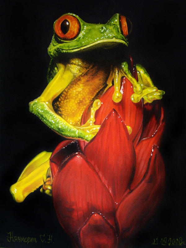 frog by Animal75Artist