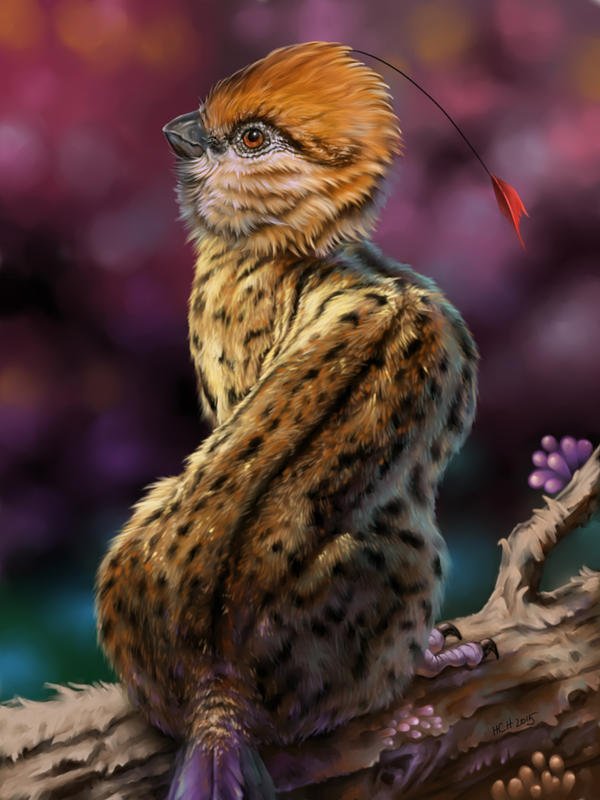 Bird Evolution Deviantart Evolution. by Animal75Artist on DeviantArt