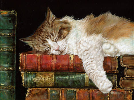 book cat