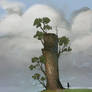Tree cliff