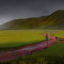 Moody Landscape