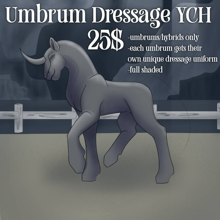 Umbrum Dressage YCH