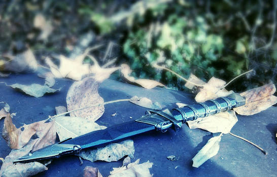 A Discarded Blade