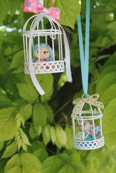 fairy cage