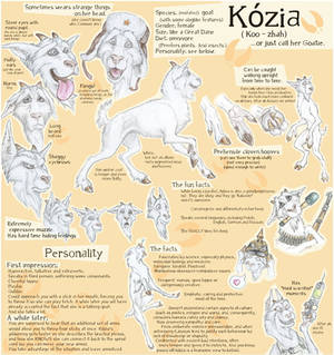 Kozia - OLD character sheet