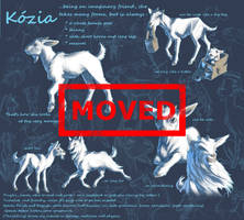 MOVED: Kozia
