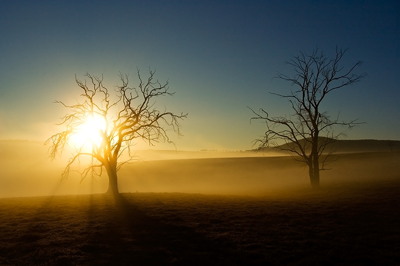 Sunrise in the mist