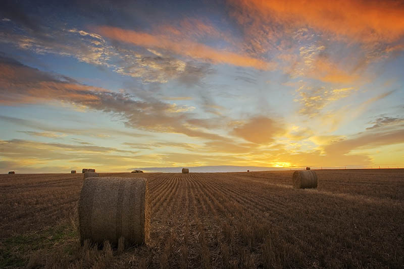 Overberg Sunrise