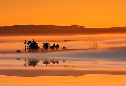 Playing in the mist