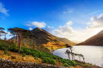 Scotland by carlosthe