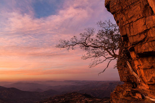 Pink Sky at Night