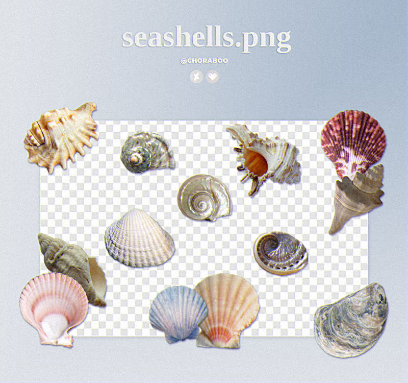 Sea Shell Sprites seashells png pack by Choraboo on DeviantArt